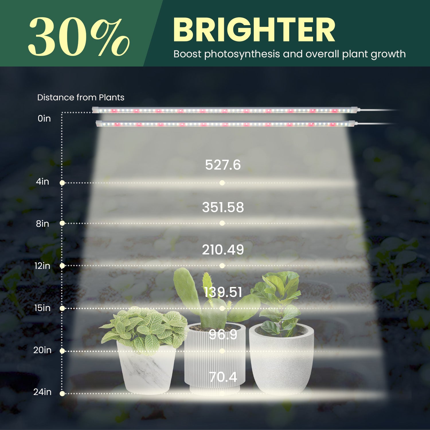 distance from grow light to plant FLEX GROW, 360° Bendable LED Seeding Light, 6500K