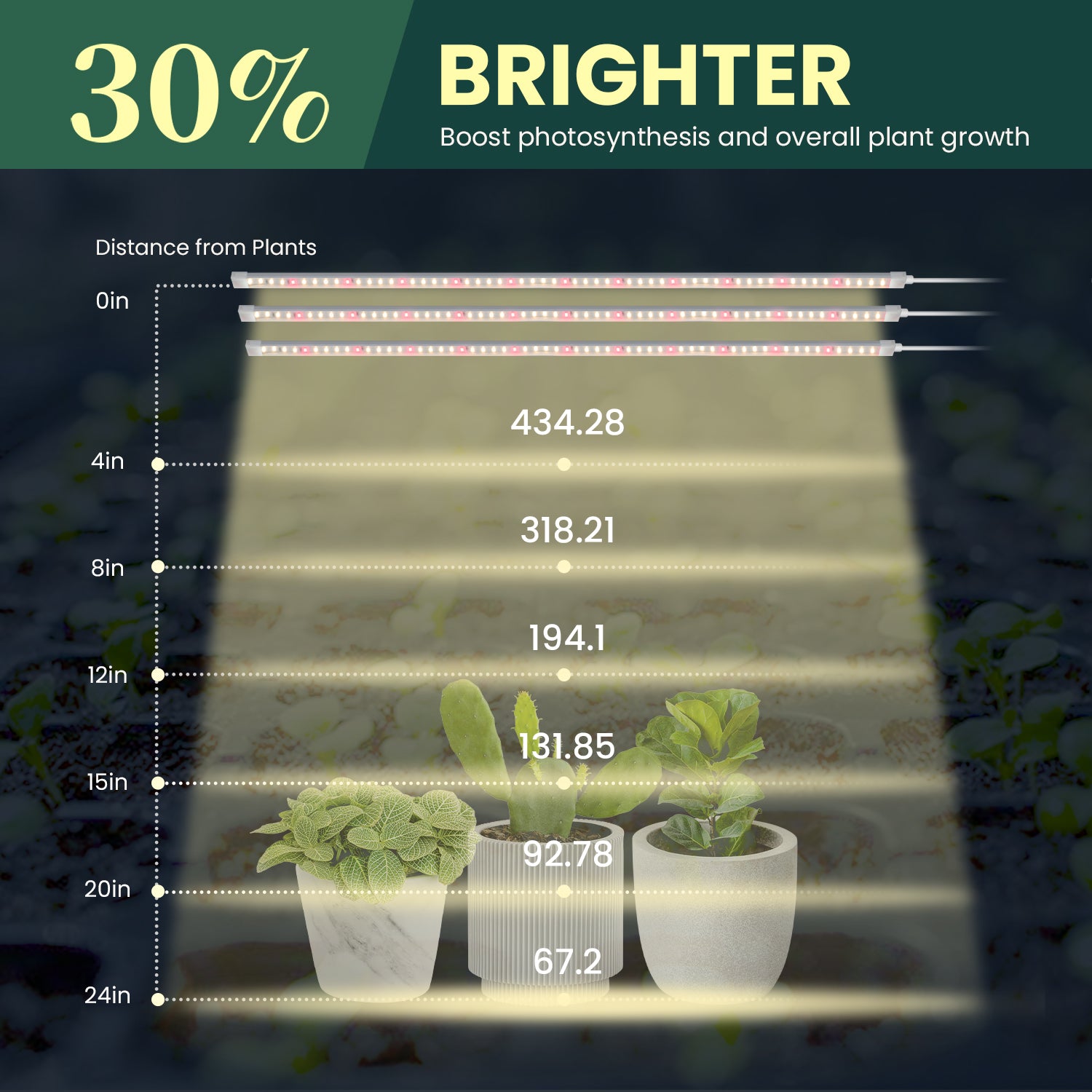 distance between plant and grow light FLEX GROW, 360° Bendable LED Grow Light, 4000K